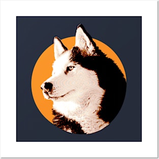 Handsome husky Posters and Art